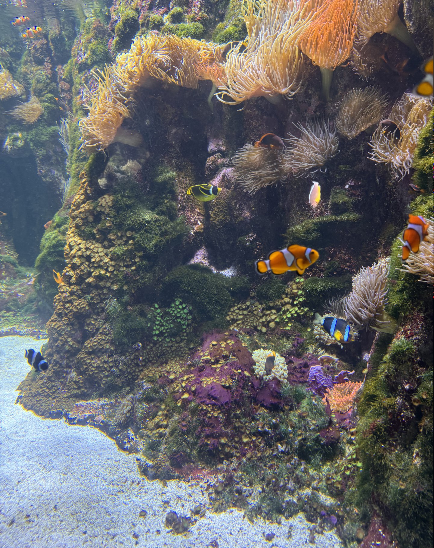 Aquarium de La Rochelle 3