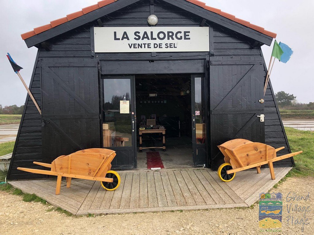 Port des Salines 3